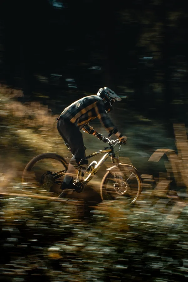 Horský cyklista v kostkované košili projíždí tmavým lesem, okolí rozmazané pohybem, tráva prosvícená teplým světlem.
