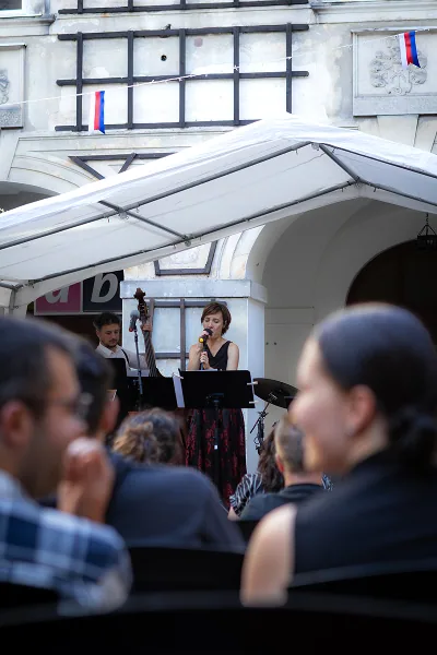 Kulturní akce, fotka 31